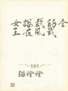女总裁的全能兵王夜风武