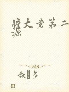 胆大党第二季资源