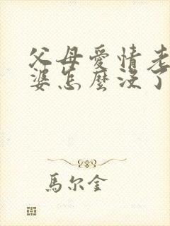 父母爱情老丁老婆怎么没了