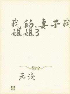 我的.妻子我的姐姐3