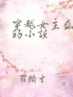 穿越女主盛安宁的小说