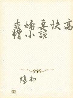 爽娇妻快高h绿帽小说
