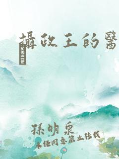 摄政王的医品王玘