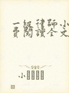 一级律师小说免费阅读全文无删减
