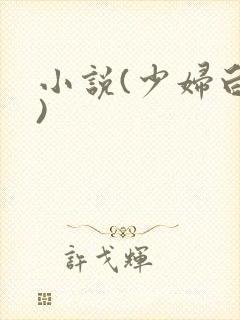 小说(少妇白洁)