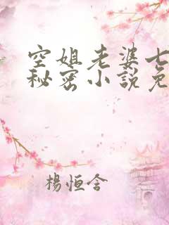 空姐老婆七七的秘密小说免费阅读