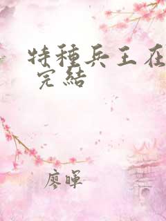 特种兵王在山村 完结