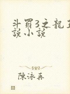 斗罗3之龙王传说小说