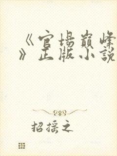 《官场巅峰李霖》正版小说
