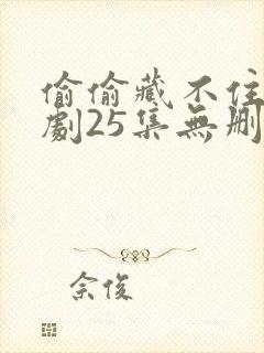 偷偷藏不住电视剧25集无删减