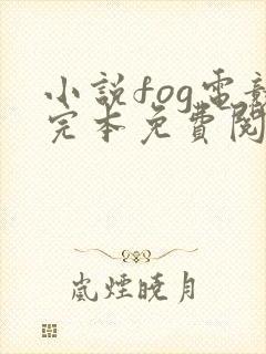 小说fog电竞完本免费阅读