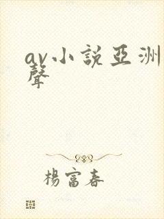 av小说亚洲有声