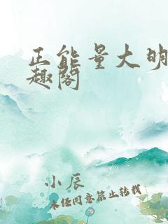 正能量大明星笔趣阁