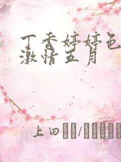 丁香婷婷色综合激情五月
