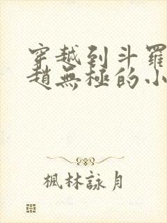 穿越到斗罗成为赵无极的小说