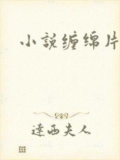 小说缠绵片段