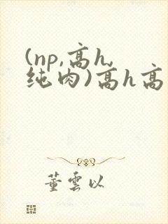 (np,高h,纯肉)高h高辣
