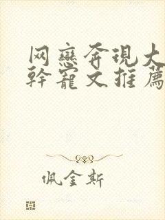 网恋奔现大叔高干宠文推荐