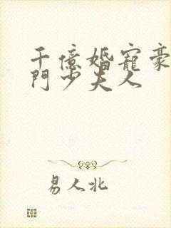 千亿婚宠豪娶豪门少夫人