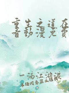 重生之道在线观看动漫免费