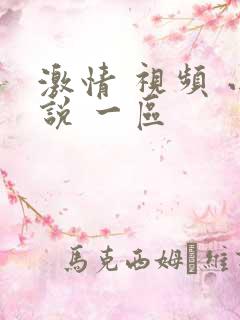 激情 视频 小说 一区