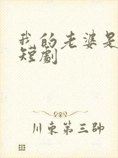 我的老婆是校花短剧
