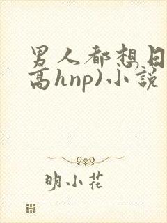 男人都想日她(高hnp)小说