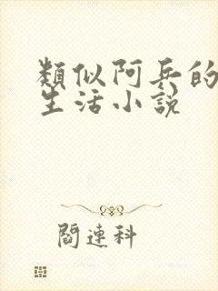类似阿兵的快乐生活小说