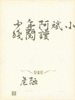 少年阿斌小说在线阅读