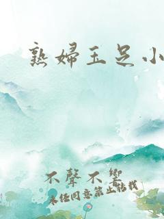 熟妇玉足小说
