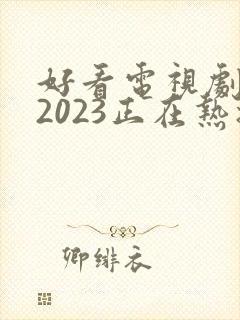 好看电视剧推荐2023正在热播的剧