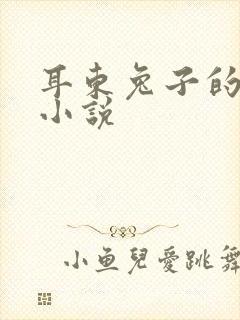 耳东兔子的所有小说