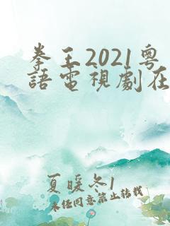 拳王2021粤语电视剧在线观看免费