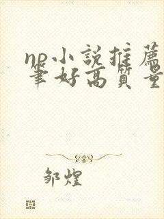 np小说推荐文笔好高质量