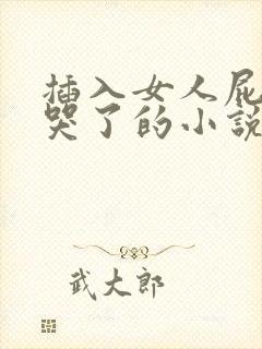 插入女人屁眼痛哭了的小说