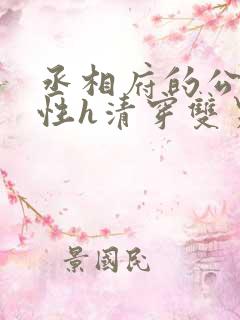 丞相府的公子双性h清穿双男主