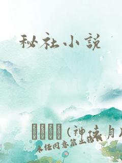 秘社小说
