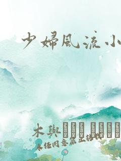少妇风流小说网