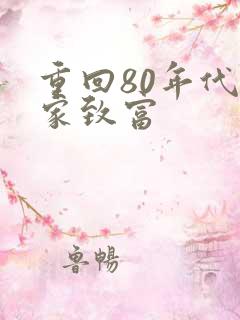 重回80年代发家致富
