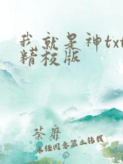 我就是神txt精校版