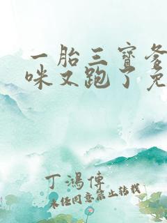 一胎三宝爹地妈咪又跑了免费阅读全文