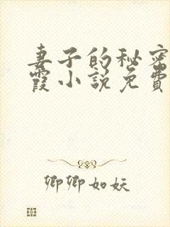 妻子的秘密韩晴霞小说免费阅读