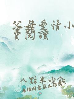 父母爱情小说免费阅读