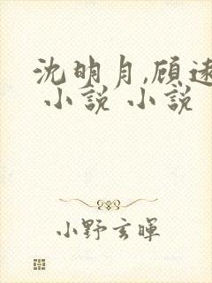 沈明月,顾远舟 小说 小说