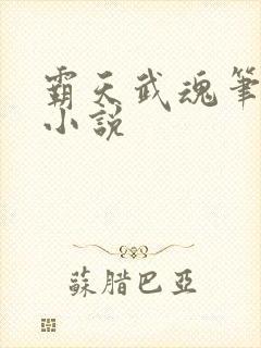 霸天武魂笔趣阁小说