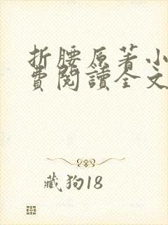 折腰原著小说免费阅读全文阅读