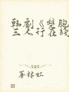 韩剧《双胞胎》三人行在线观看