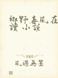 乡野春风在线阅读 小说