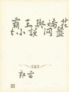 霸王与娇花txt小说 网盘