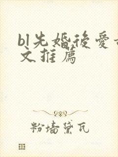 bl先婚后爱甜文推荐